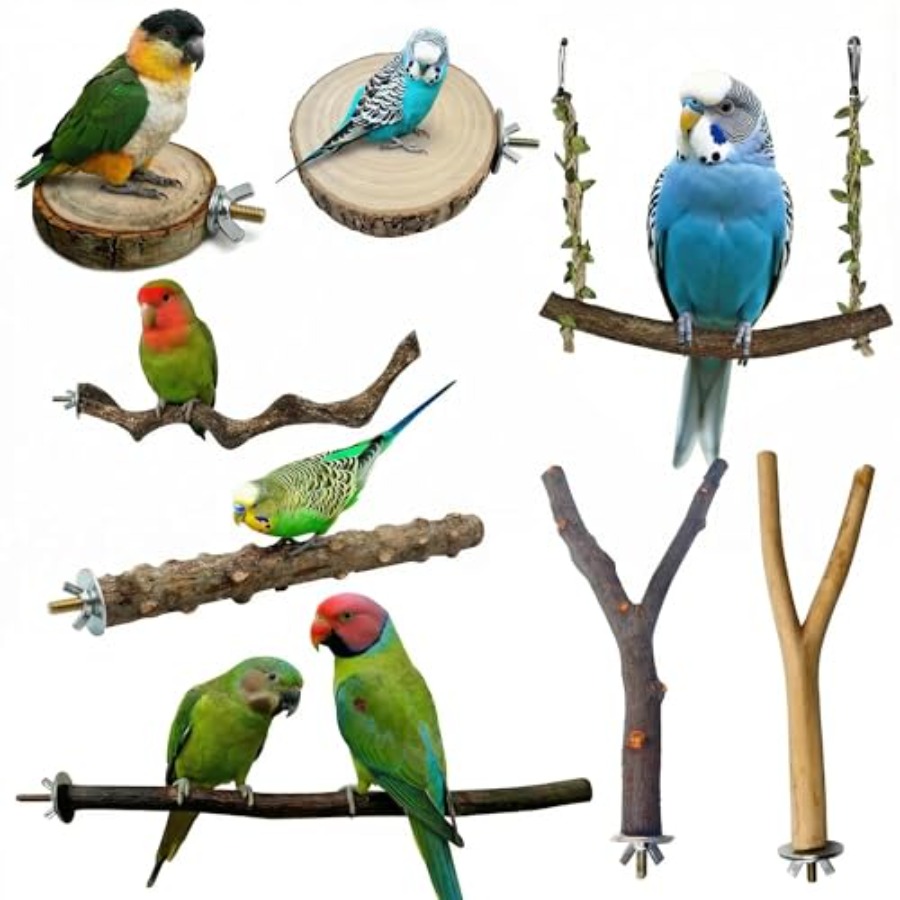 Health & Wellness Urgent Care - 8PCS natural wood bird perches for