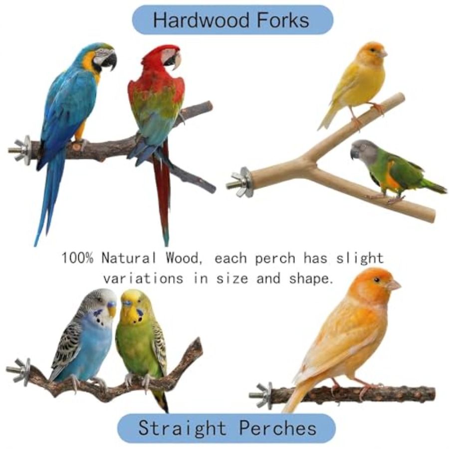 8PCS natural wood bird perches - Health & Wellness Urgent Care 评论和价格